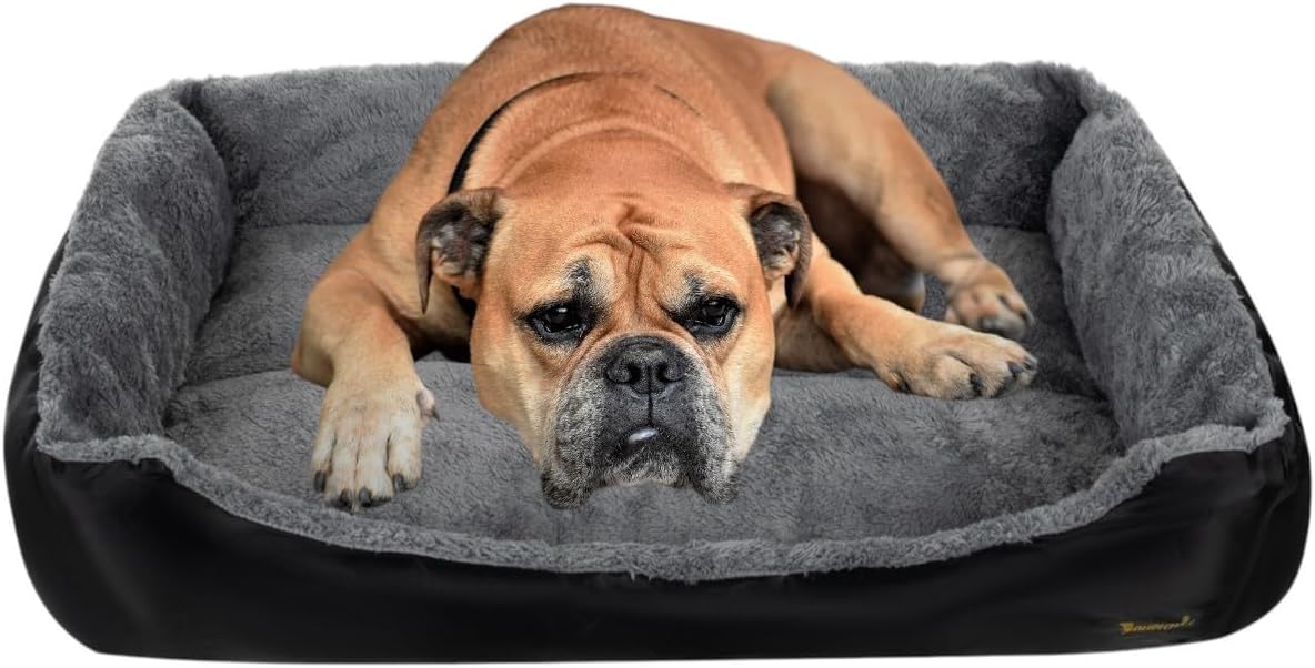 Purlov padded dog bed for small medium dogs, soft warm pet bed for comfort and relaxation