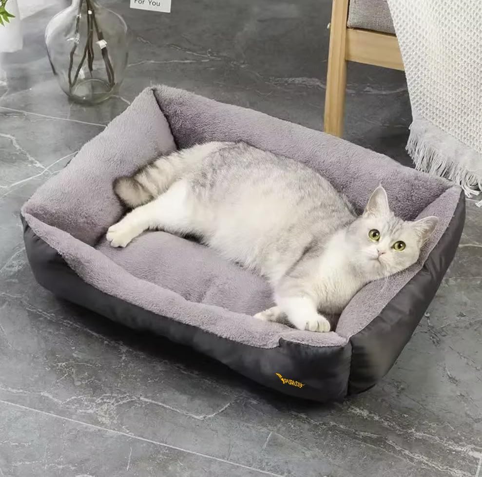 Purlov padded pet bed, soft warm and cozy for small medium dogs to sleep and relax