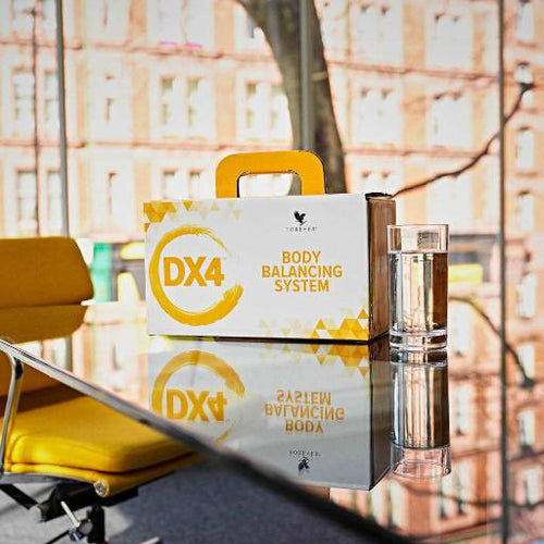 DX4 / Programme d'équilibre corporel de 4 jours